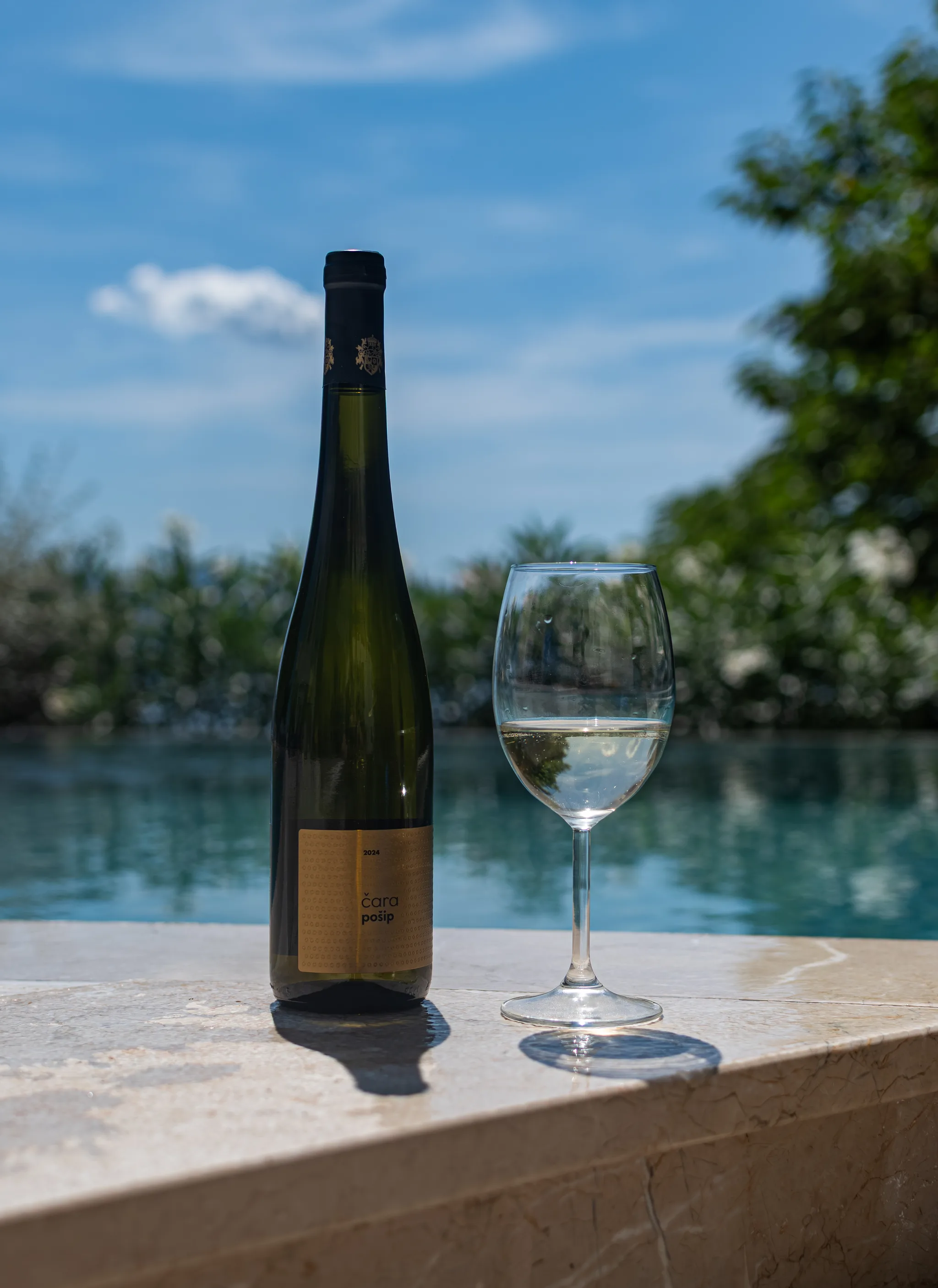 Premium degustacija uz bazen i pogled na more